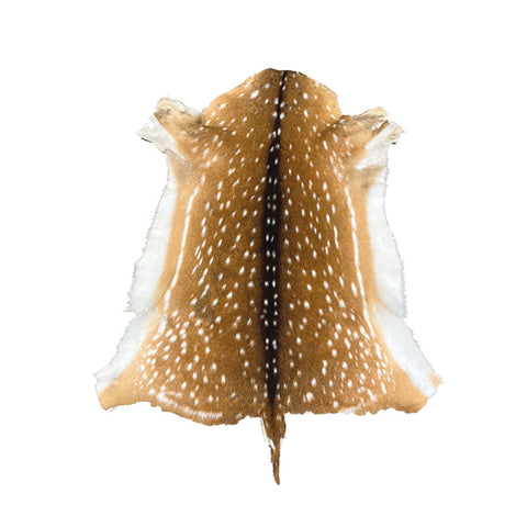 WHITETAN DEER FUR ON - SMALL | 1ST GRADE
