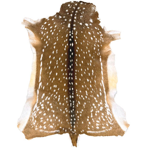 WHITETAN DEER FUR ON - LARGE | 1ST GRADE