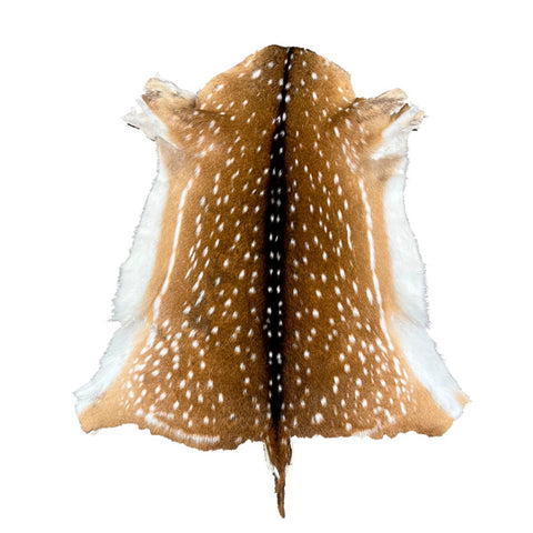 WHITETAN DEER FUR ON - MEDIUM | 2ND GRADE